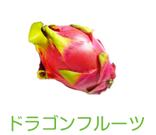 ドラゴンフルーツ