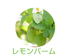 レモンバーム