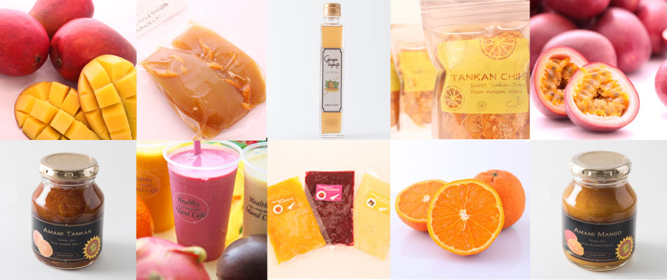 ヘルシーアイランド・オンラインストアへ