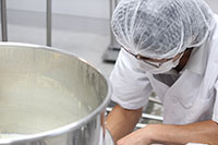 ヤギミルクの加工