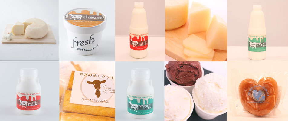 ヘルシーアイランド・オンラインストアへ