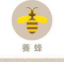 養蜂