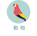 動物
