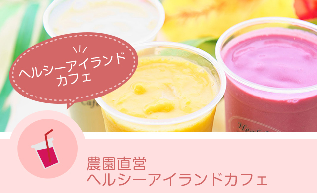 ヘルシーアイランドカフェ 奄美大島産のフルーツを使ったスムージーカフェ