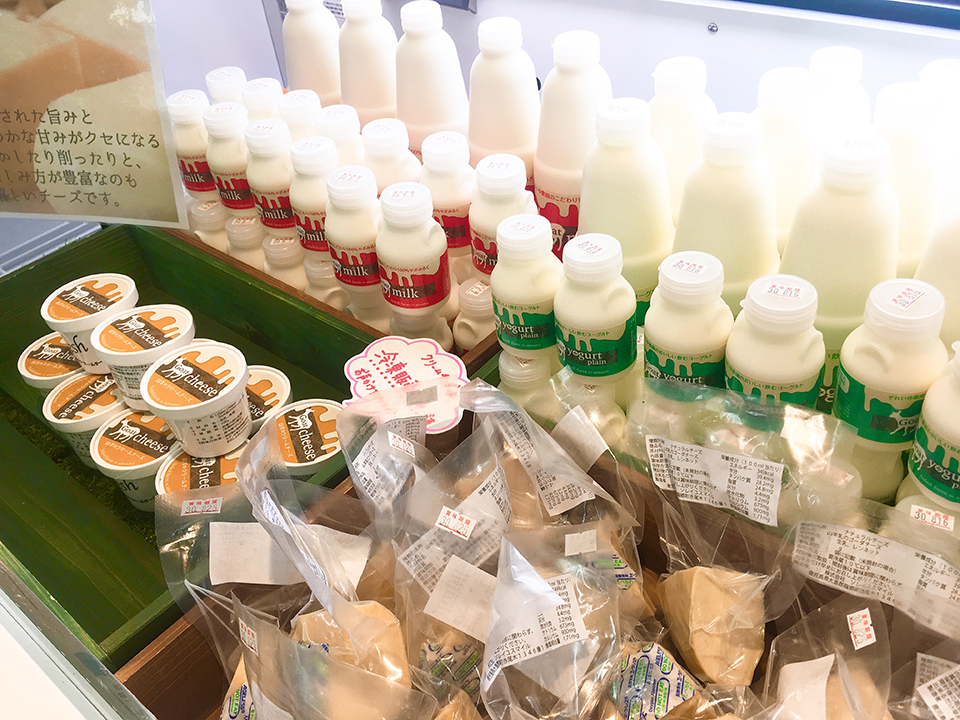 イベントの様子