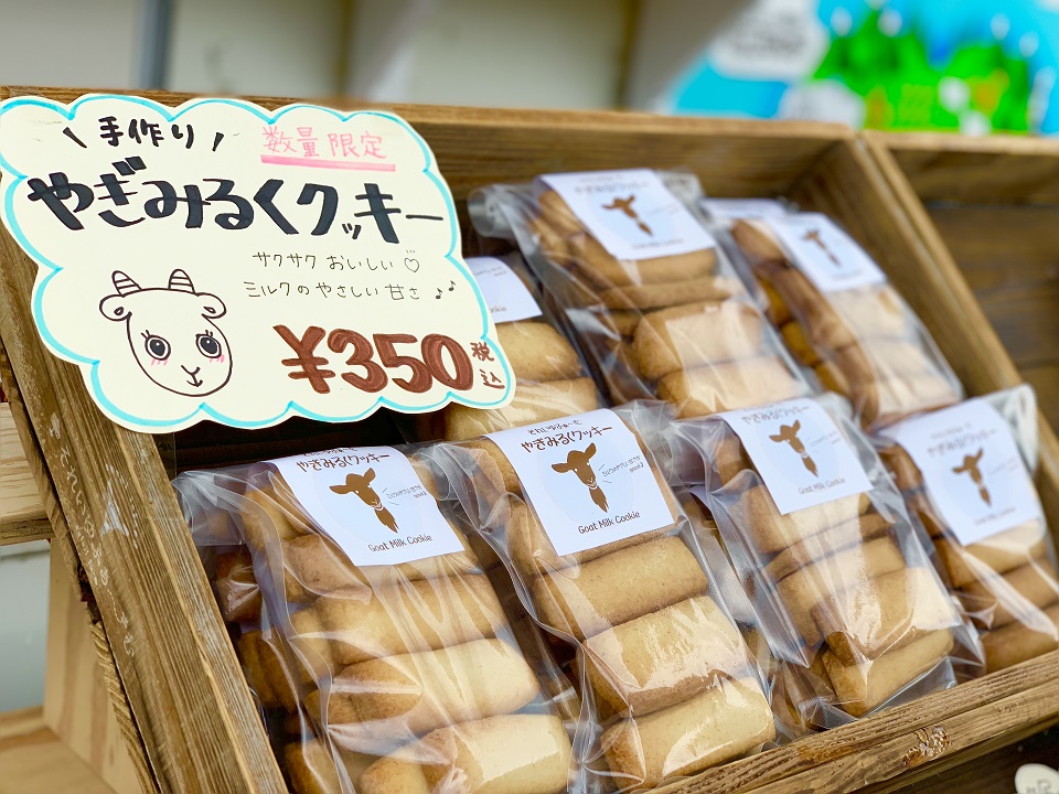 イベントの様子