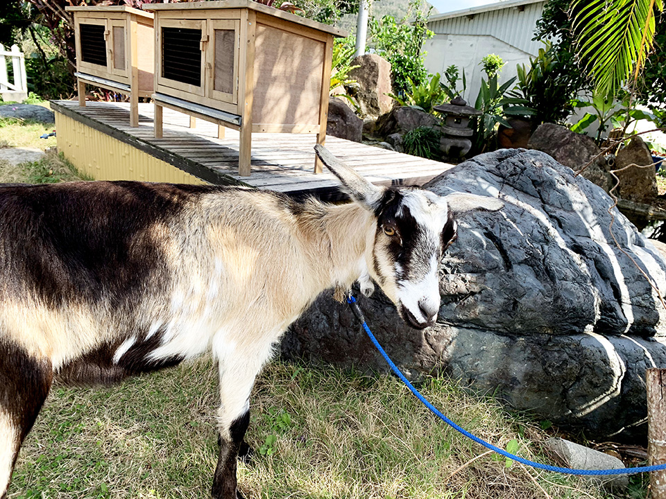 イベントの様子