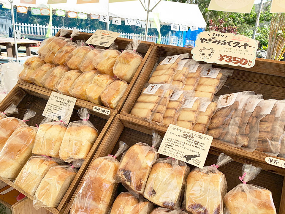 イベントの様子