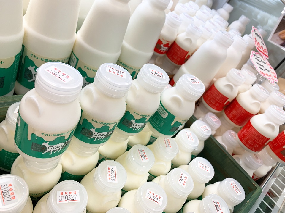 イベントの様子