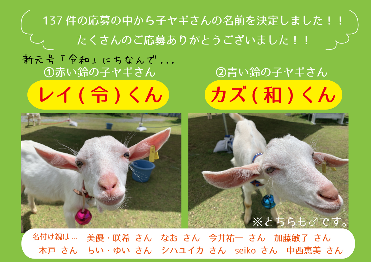 それいゆふぁ～むでの子ヤギさん名付け親キャンペーン結果