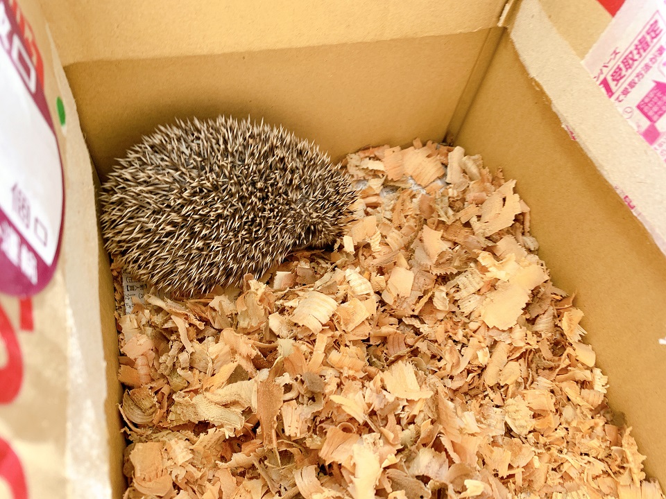 イベントの様子