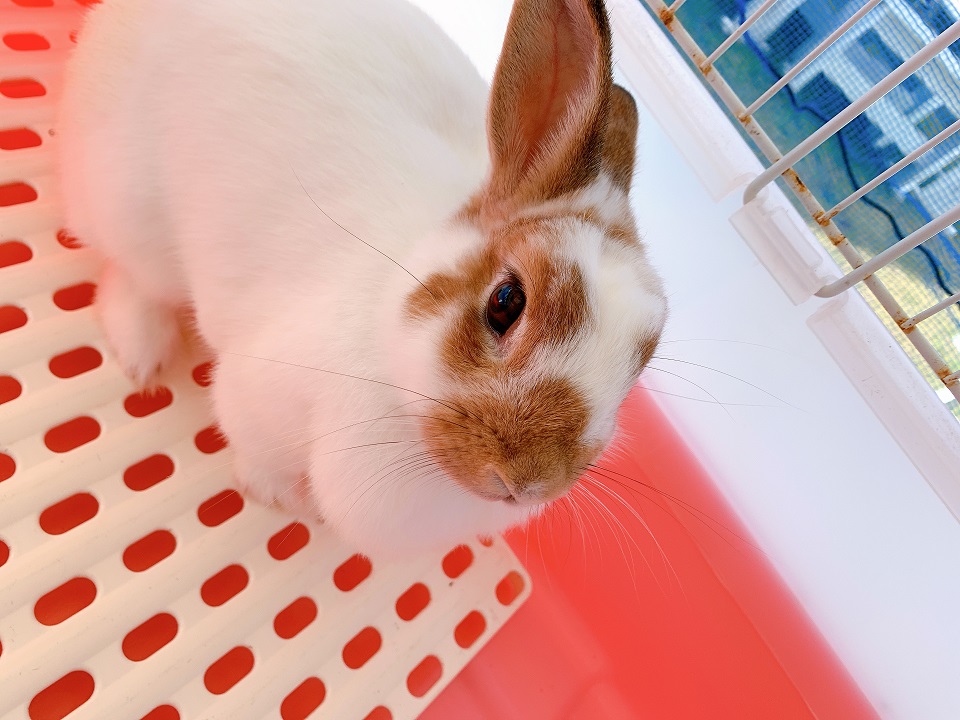 イベントの様子