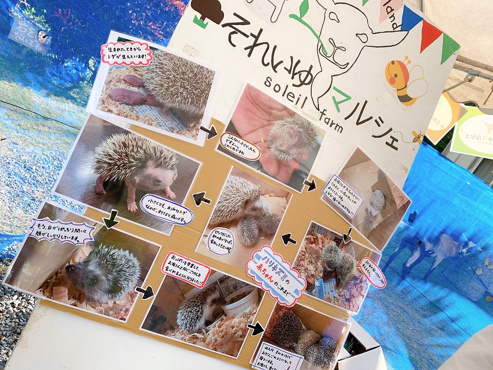 イベントの様子