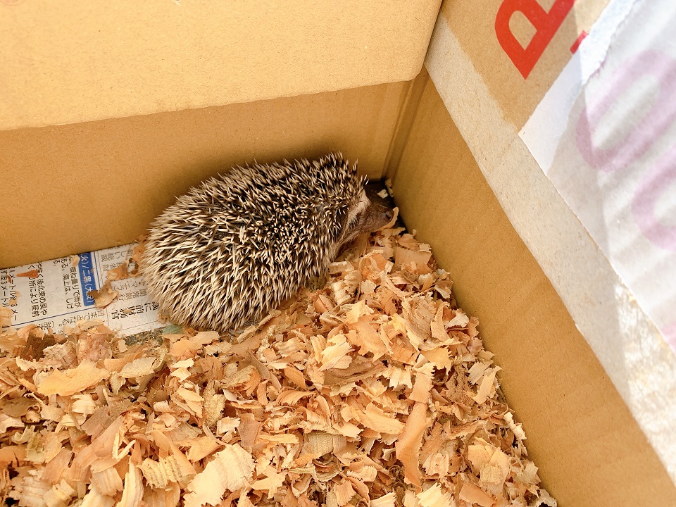 イベントの様子