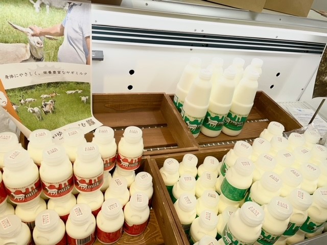 イベントの様子