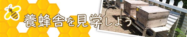 養蜂舎を見学しよう