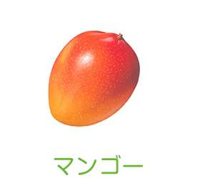 マンゴー