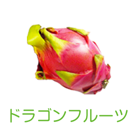 ドラゴンフルーツ