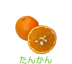 たんかん