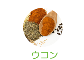 ウコン