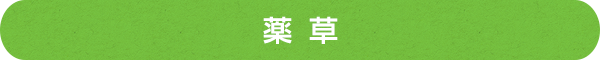 薬草