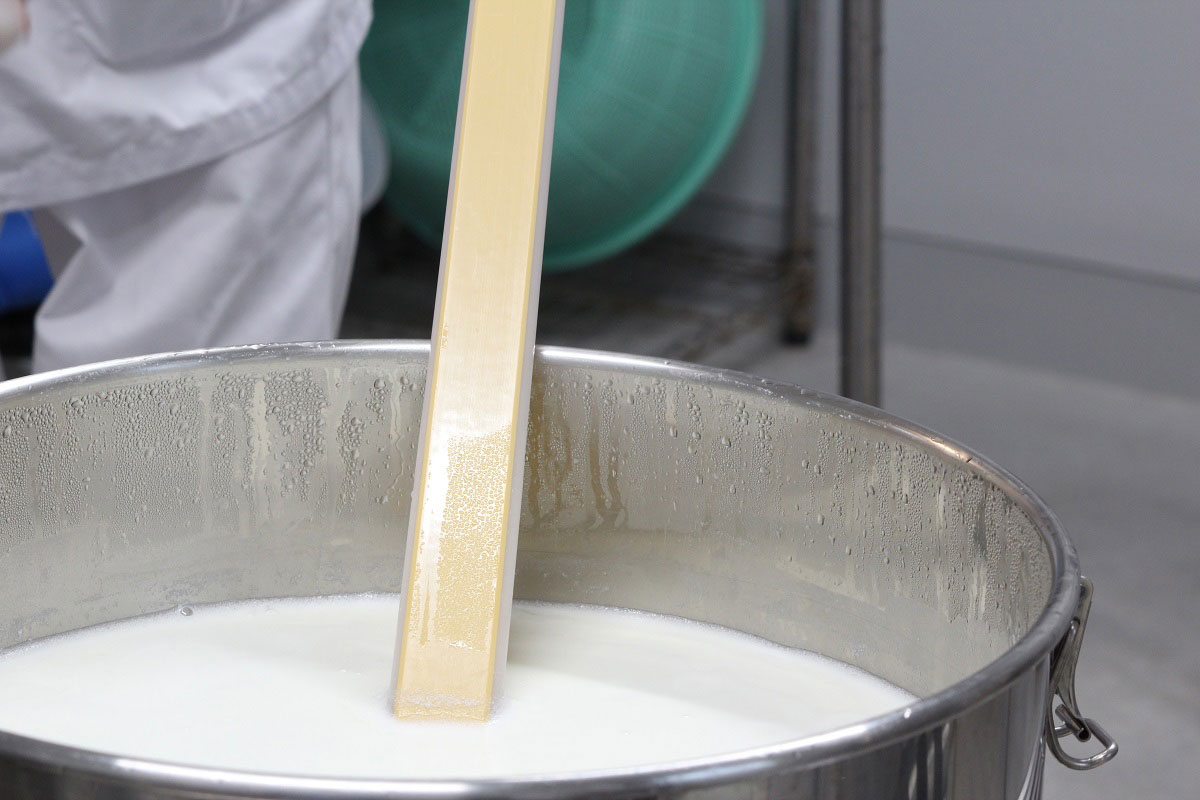 ヤギミルクの加工