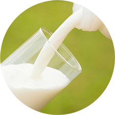 やぎ乳について