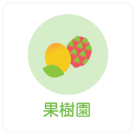 果樹園