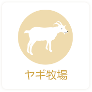 ヤギ牧場