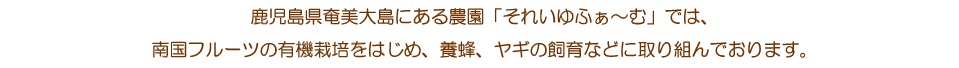 鹿児島県奄美大島にある農園それいゆふぁ～むでは南国フルーツの有機栽培を始め、養蜂、ヤギの飼育などに取り組んでおります