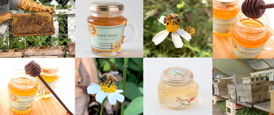 ヘルシーアイランド・オンラインストアへ